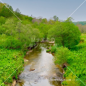 春の清流と快晴の空 釧路町別保川　Spring clear stream and clear sky Betsuho River, Kushiro Town