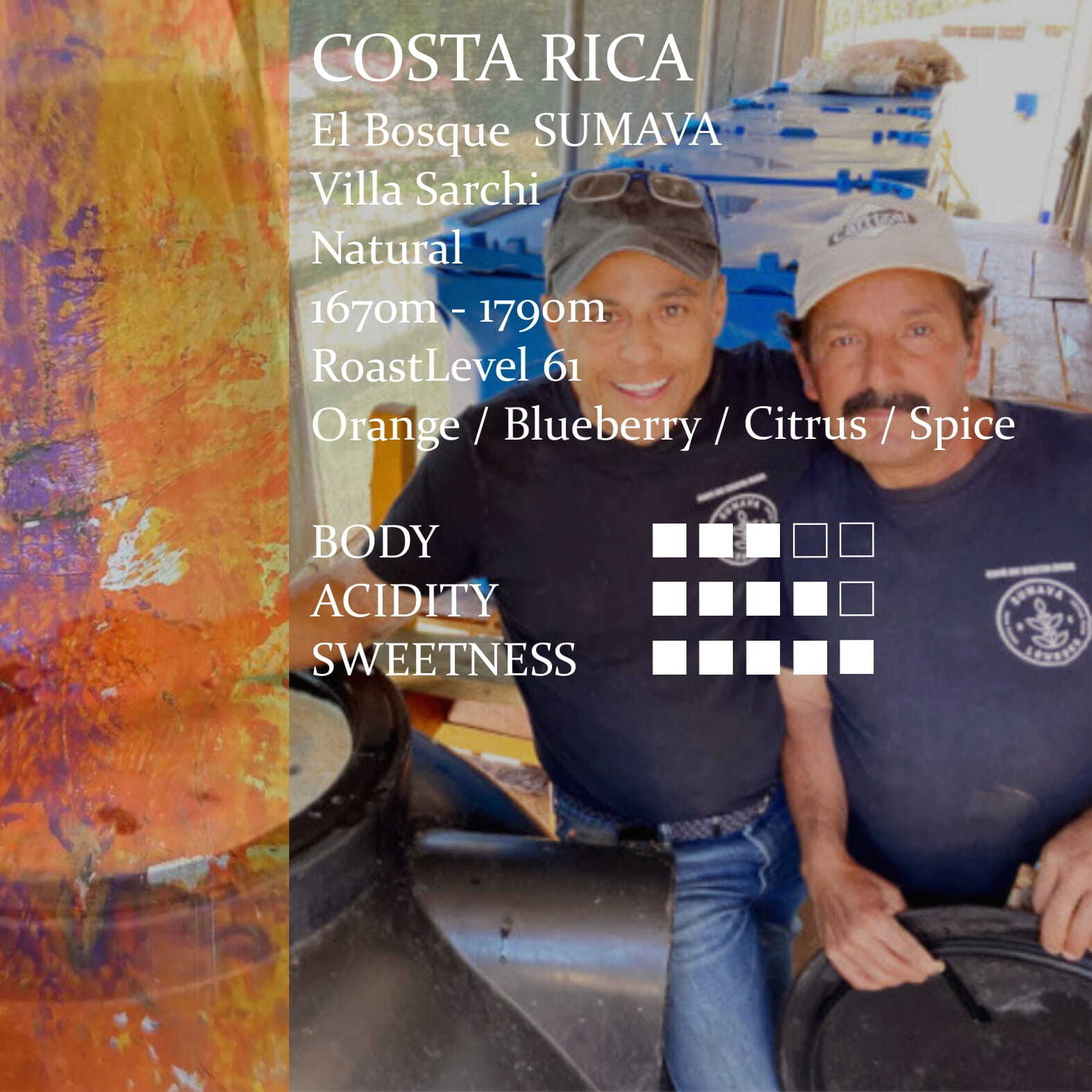 コスタリカ モンテジャノボニート農園 ブラックハニーナチュラル 中浅煎り 150g