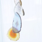 Cream Soda 10 - アゲートヒーリングチャイム / Agate Sun Catcher Wind Chime 813