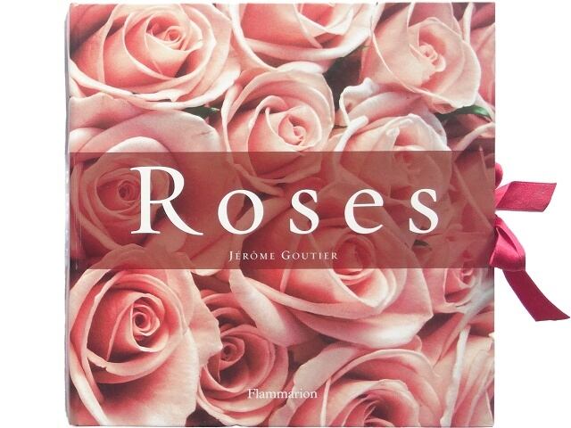 洋書◇Vフォーヴェンデッタ 写真集 本 映画 V for Vendetta | 洋書堂