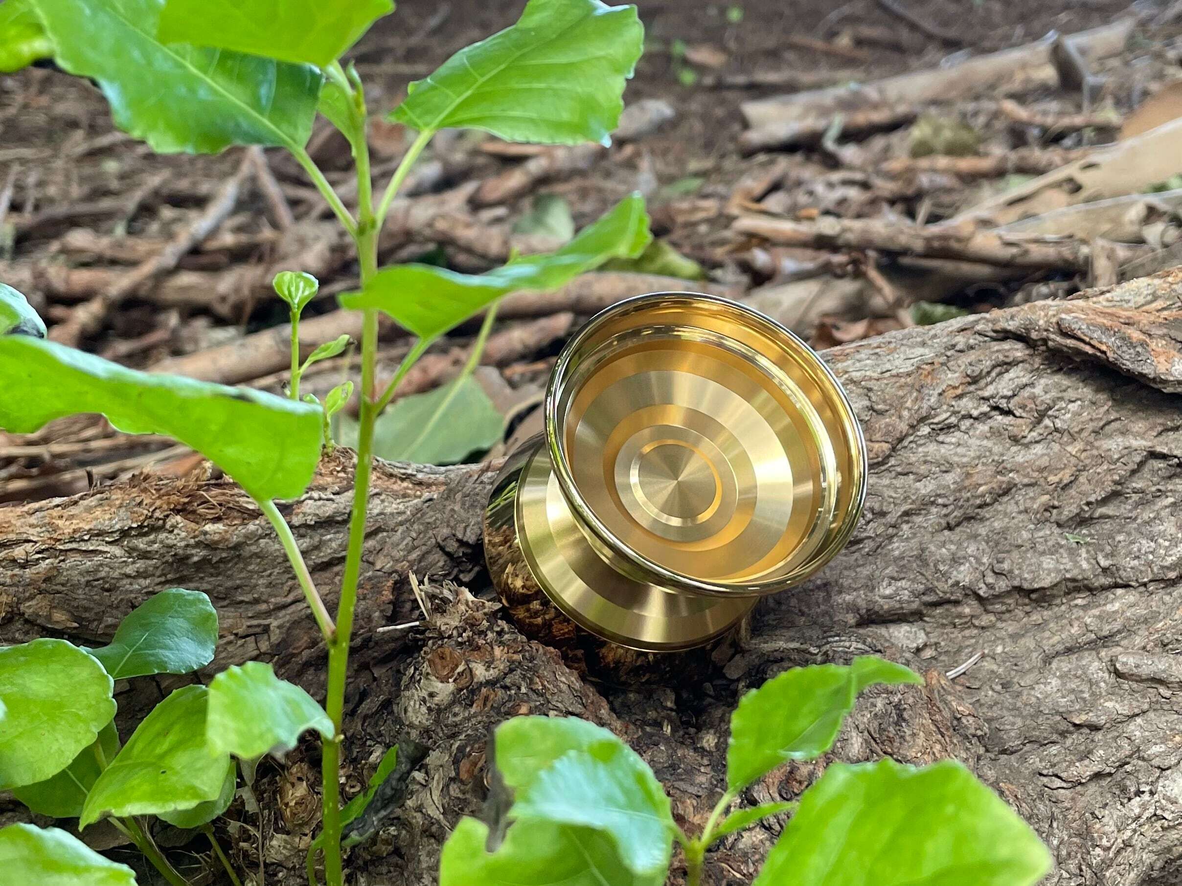 ヨーヨーショップやうやう