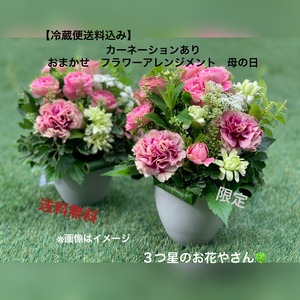 【冷蔵便送料込】生花カーネーションあり　おまかせフラワーアレンジメント　母の日　生花