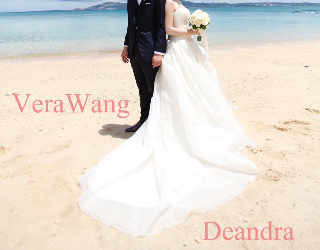 Vera Wang deandra ウェディングドレス　US2