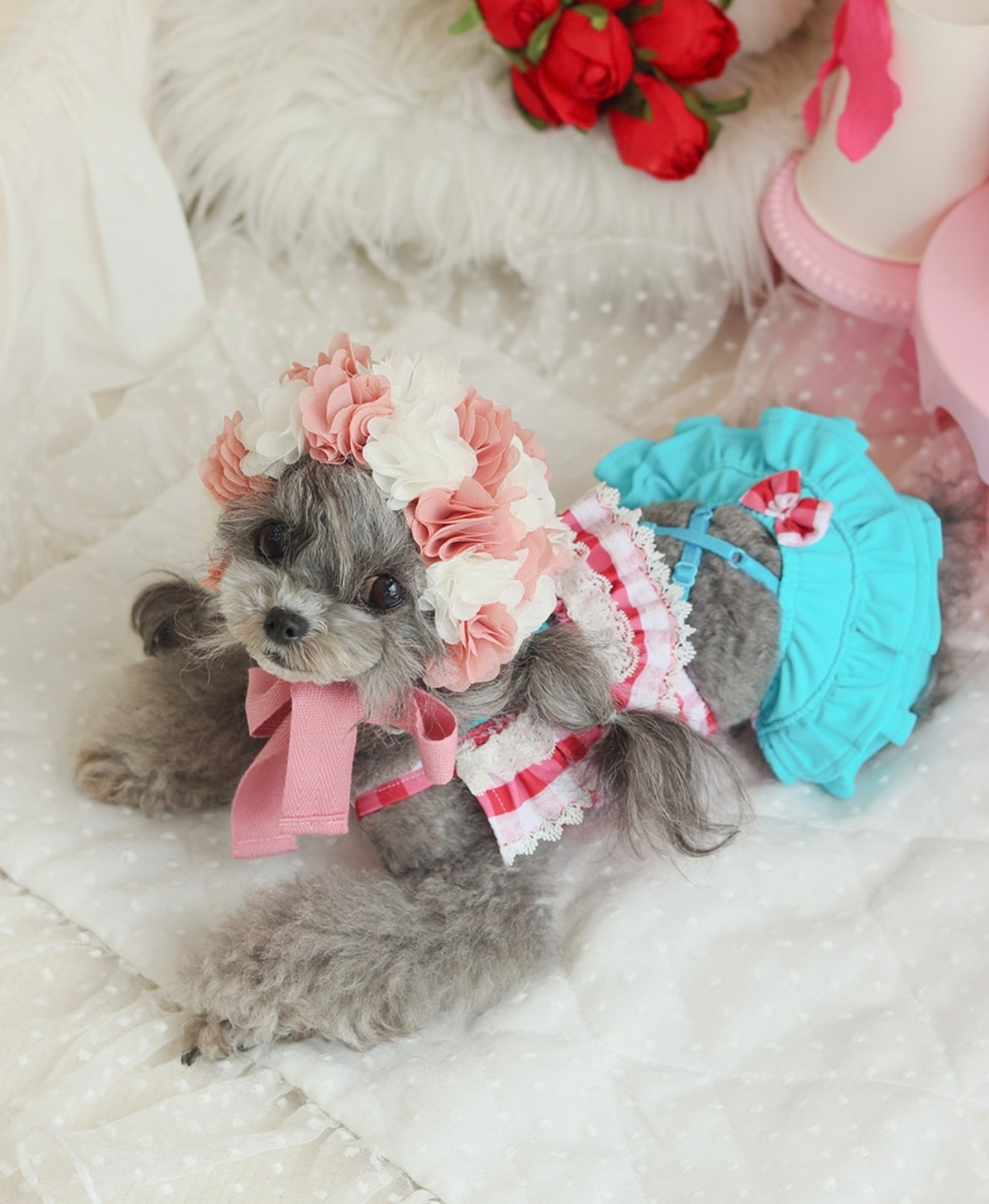 予約【HAPPY JJANGGU】JOYFUL CROSS BIKINI（RED CHECK）