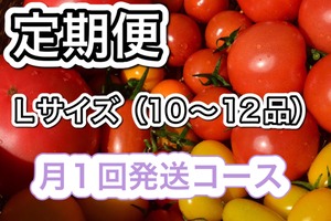 定期便　Lサイズ（10~12品）月１回発送　自動更新