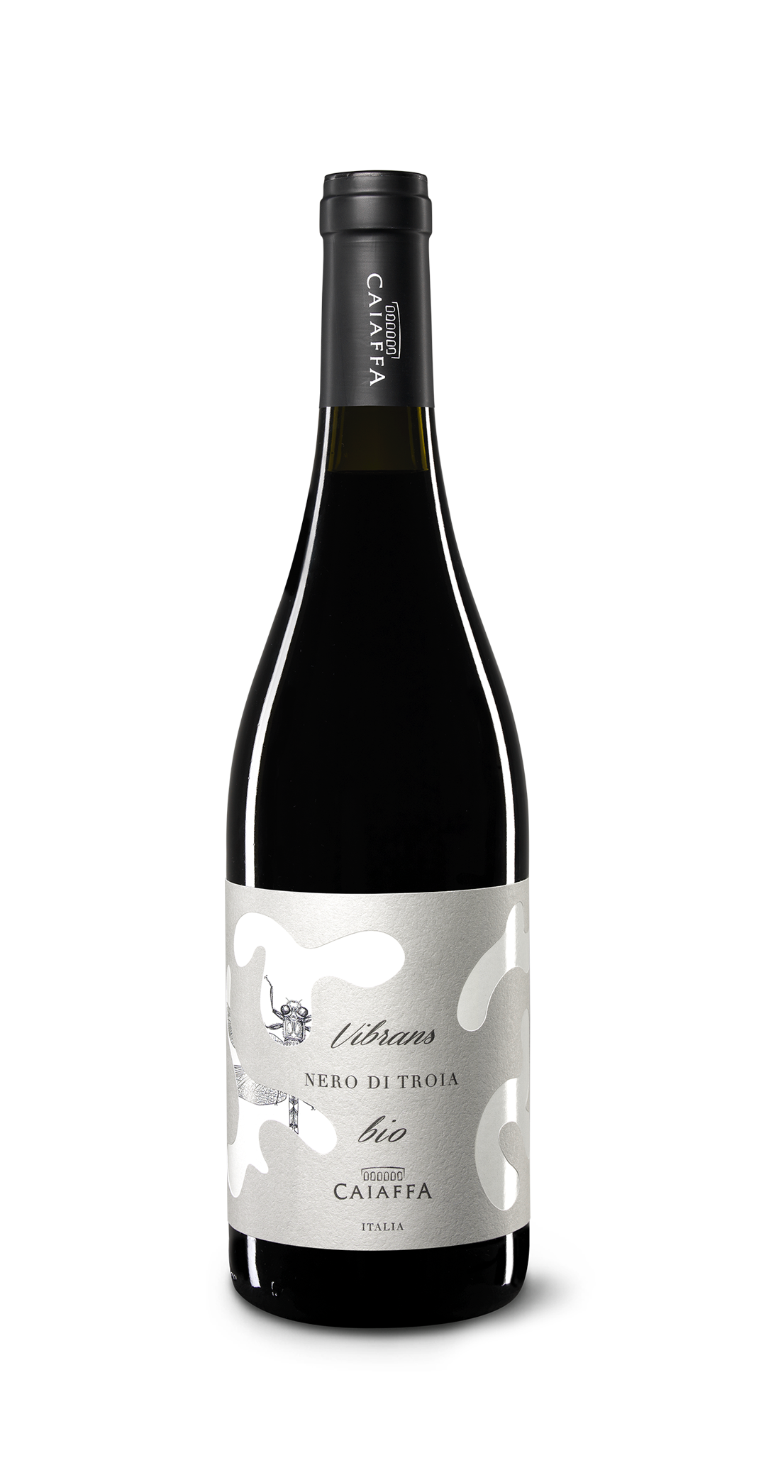 Uva di Troia / Nero di Troiaってご存知ですか？