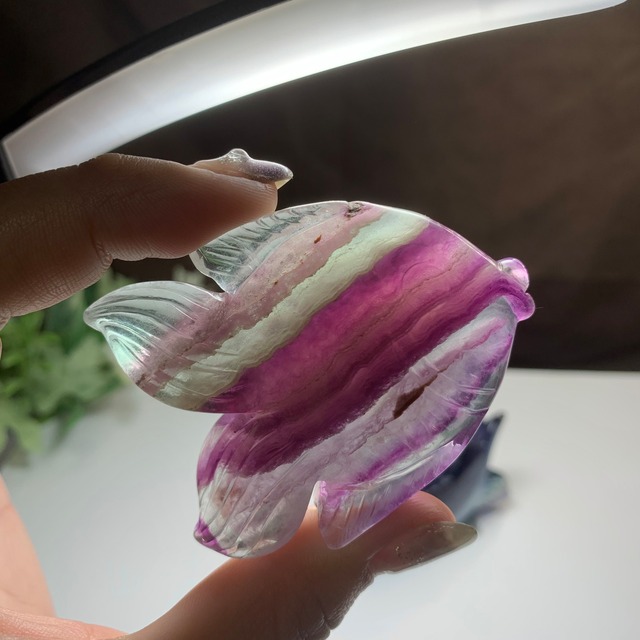 4.海のアニマル♪♪フローライトお魚さん☆ペアセット