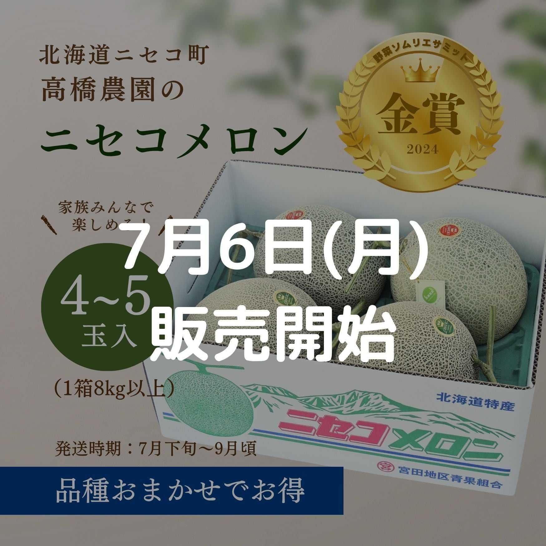 メロン4～5玉＜色指定可＞＜7月下旬～9月通常発送＞ | 北海道ニセコ町