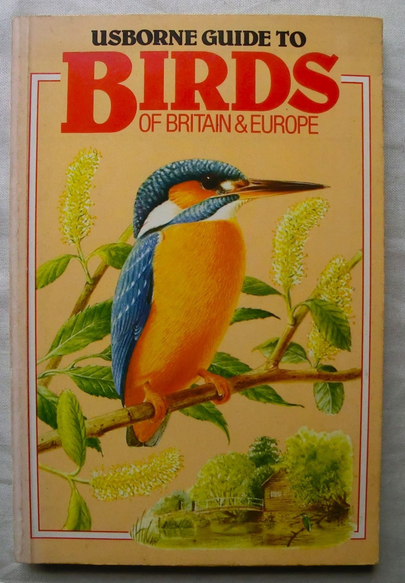 イギリス・ヨーロッパ 野鳥図鑑 Usborne Guide to Birds of Britain