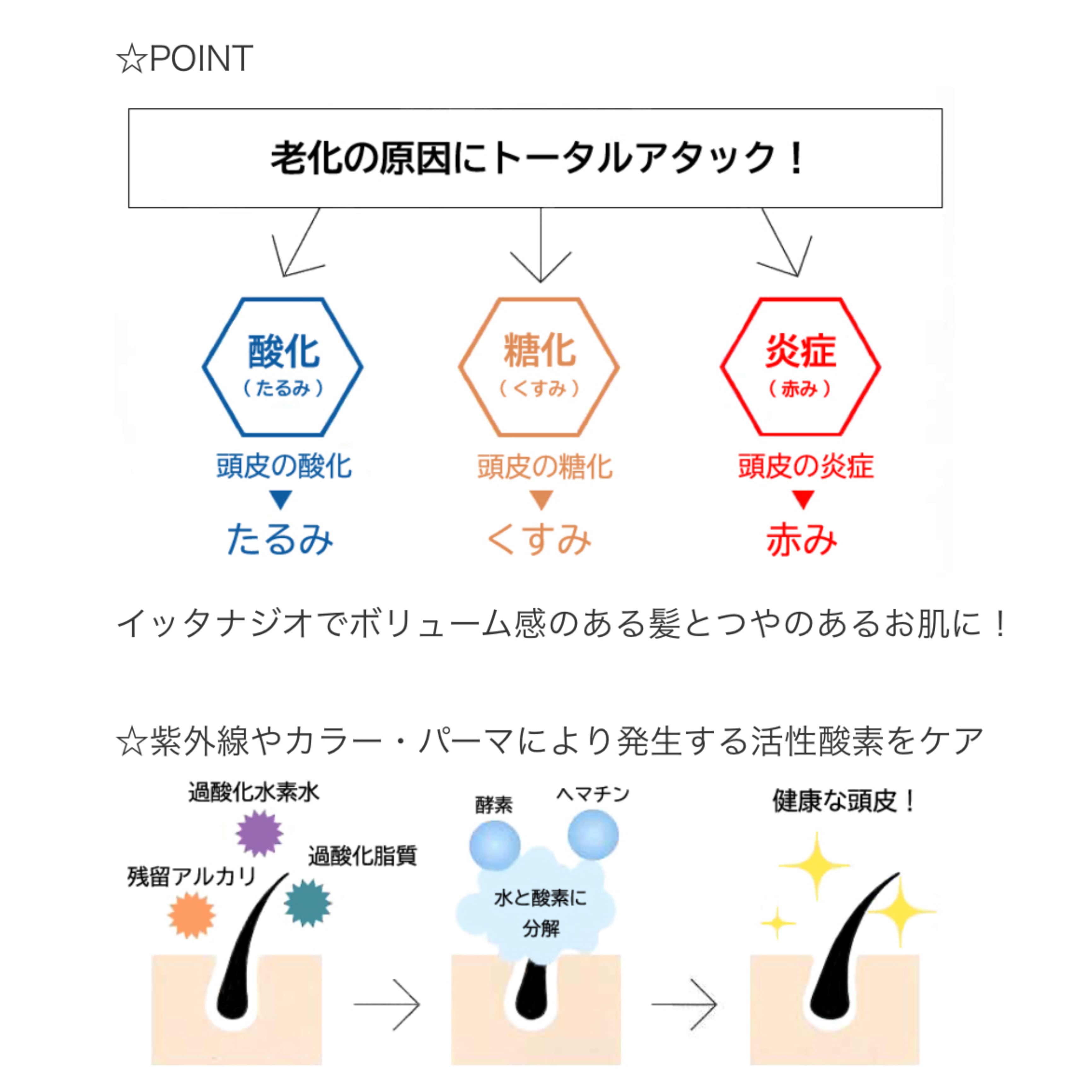 サラメンテ  イッタナジオ リフィル    Me