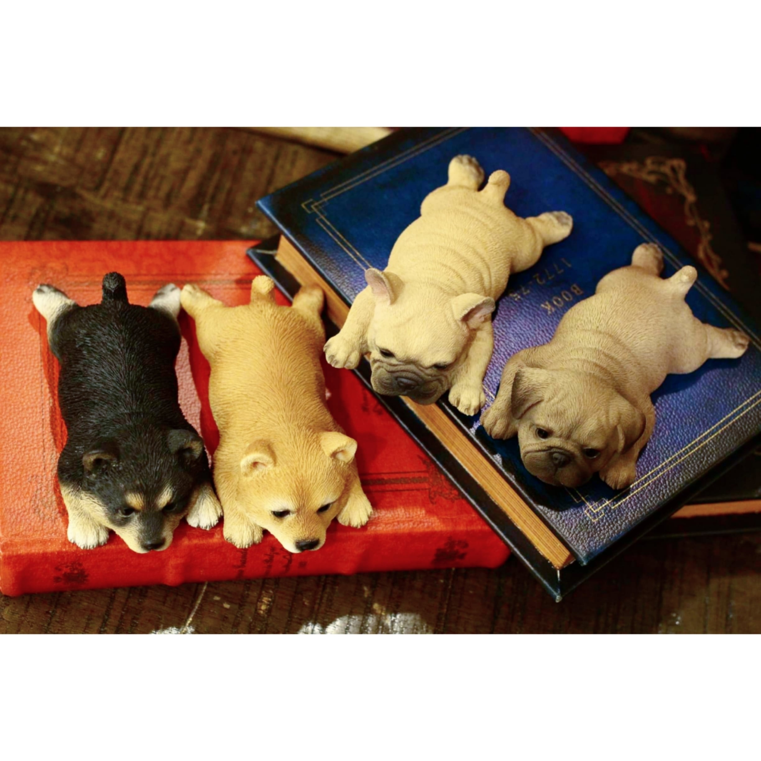 マグネットわんこ【黒柴 柴犬 フレンチブル パグ】C0pernicus