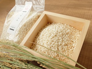 【無農薬 無肥料】和醸 米糀  350g