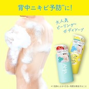 クレンジングリサーチ ボディピールソープ C <ボディ洗浄料> 480mL