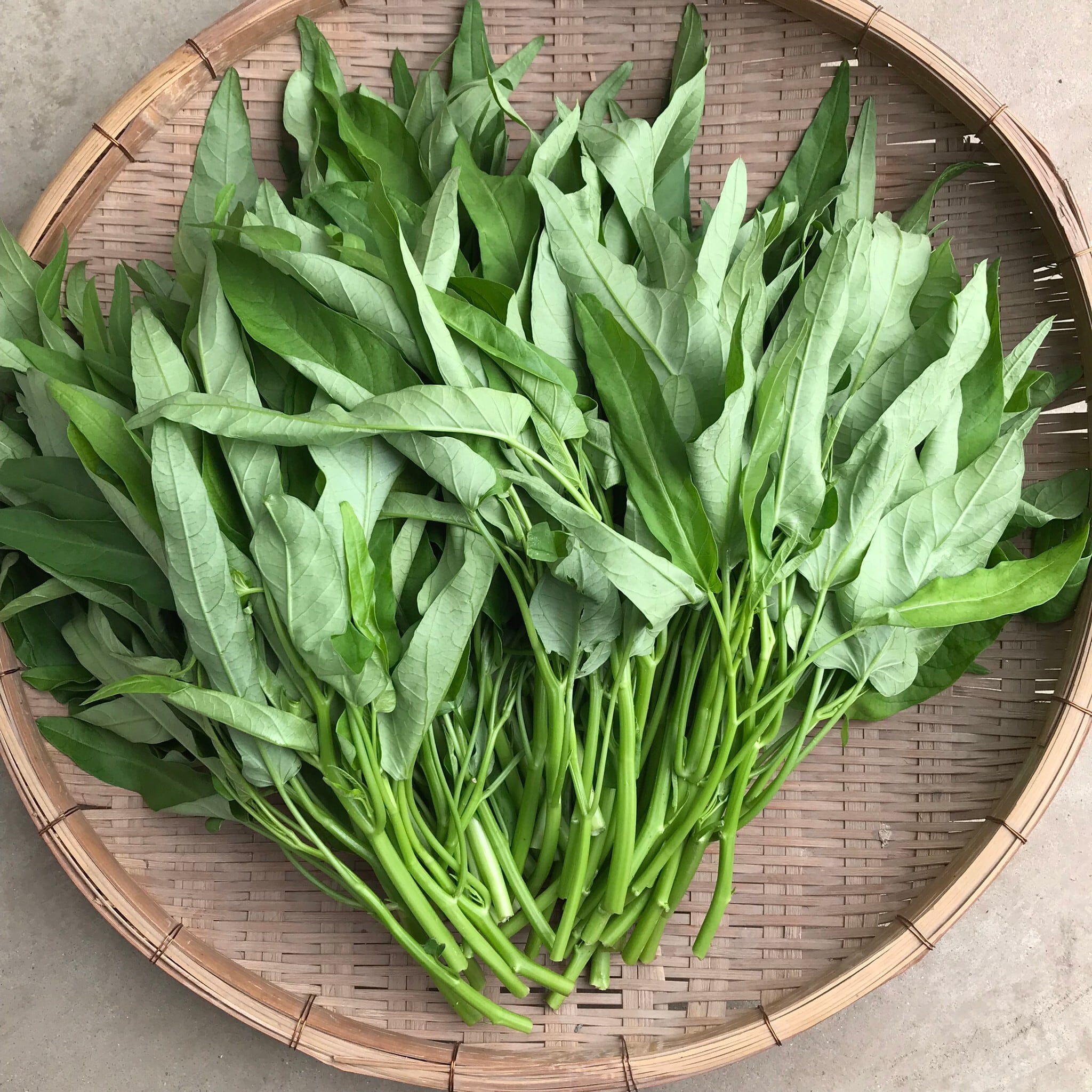空芯菜 業務用1㎏バラ詰め／中国野菜 | PAY ID
