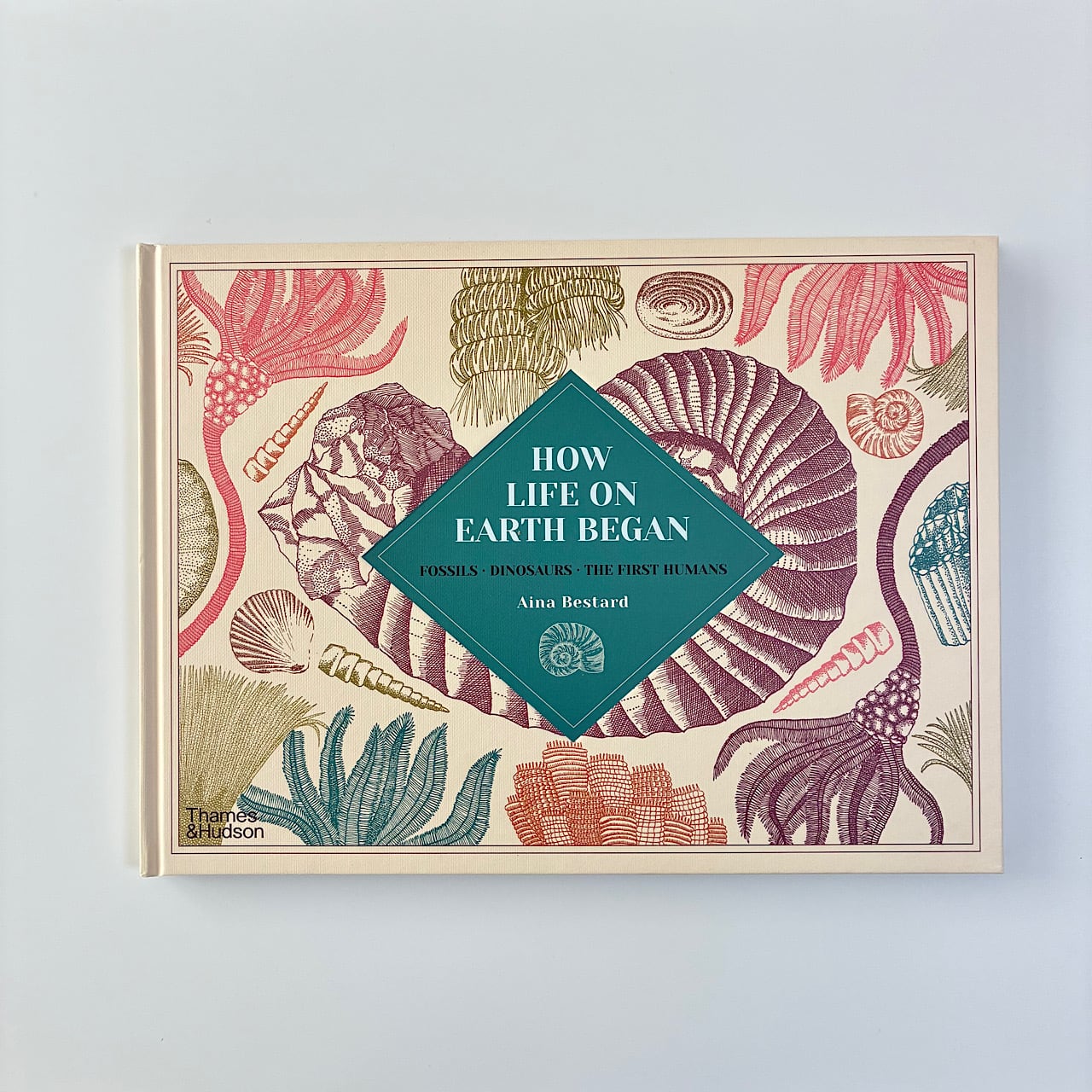 □ しかけ絵本 | 素敵な洋書の絵本屋さん Read Leaf Books