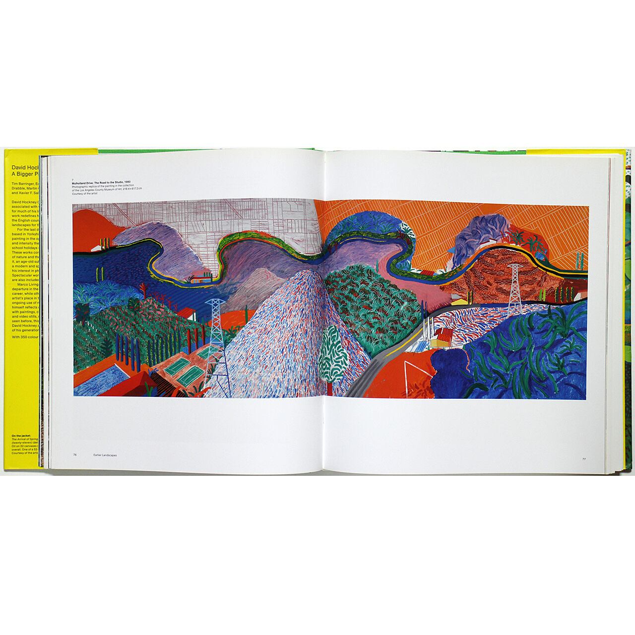 David Hockney: A Bigger Picture デイヴィッド・ホックニー：ザ
