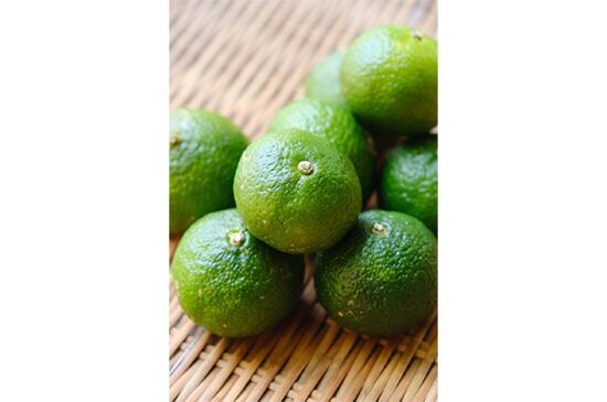 【ぽん酢や薬味】花良治みかん・500g(10/23発送開始)