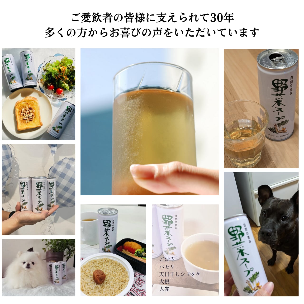 北海道ごぼうスープ300本セット 【公式通販】