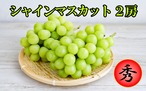 シャインマスカット　２房