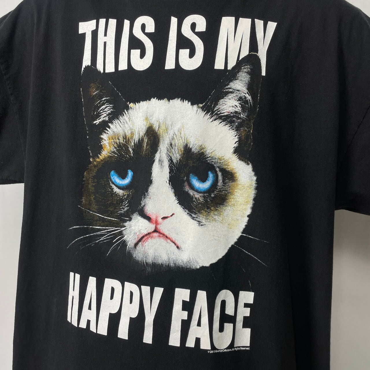 ビッグサイズ GRUMPY CAT 猫 アニマル プリントTシャツ メンズ2XL 古着