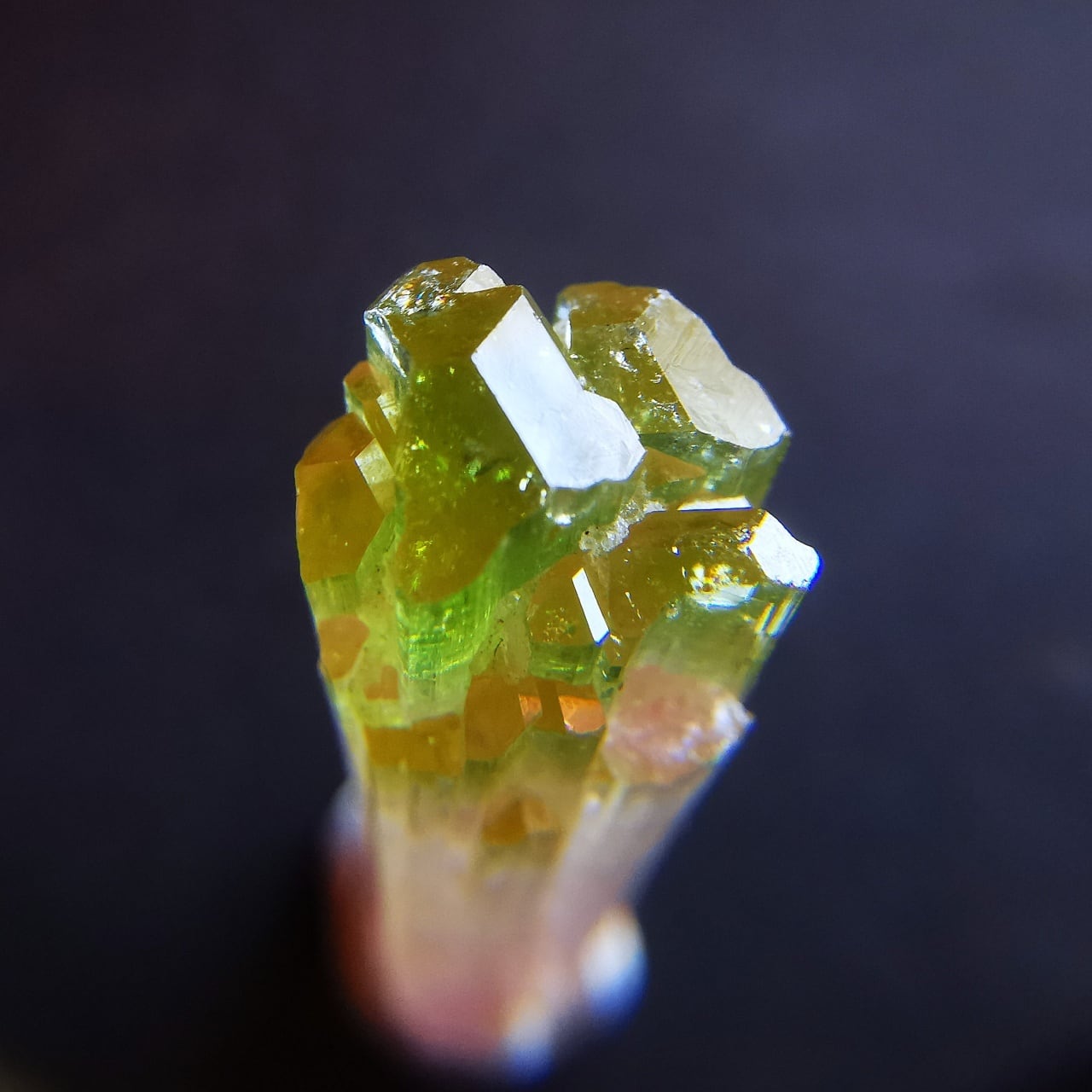 Elbaite Tourmaline Crystal -エルバイトトルマリン- Pakistan SO004