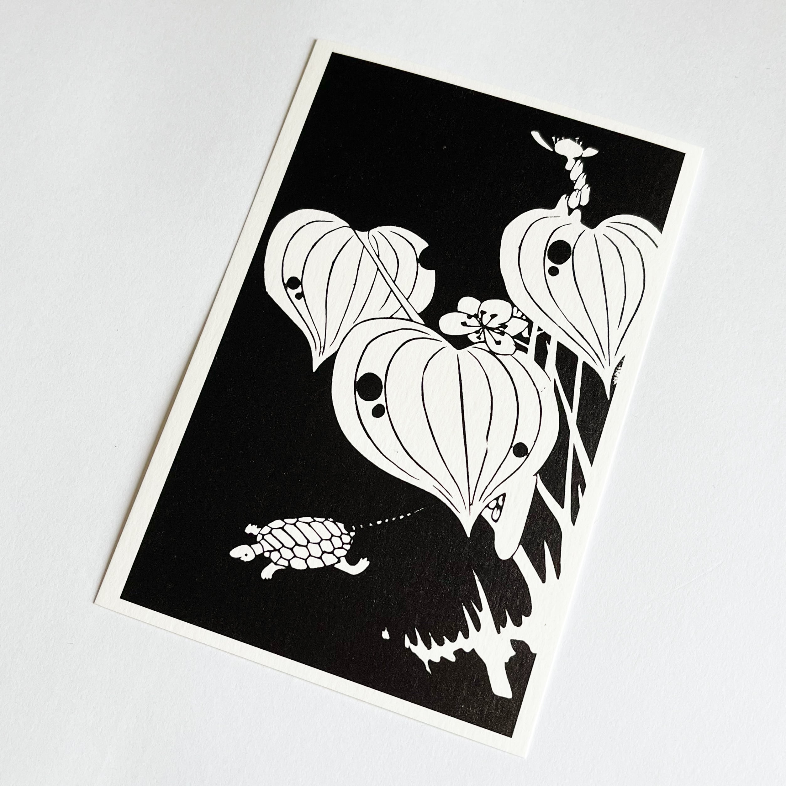 伊藤若冲 ポストカード 玄圃瑤華 水葵 | hmm, by 東京都美術館 伊藤若冲 ポストカード 玄圃瑤華 水葵 | hmm, by 東京都美術館