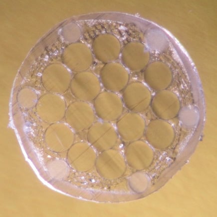 バイオロジック・ダブルエックス 123【7202320】/トアルソン TOALSON