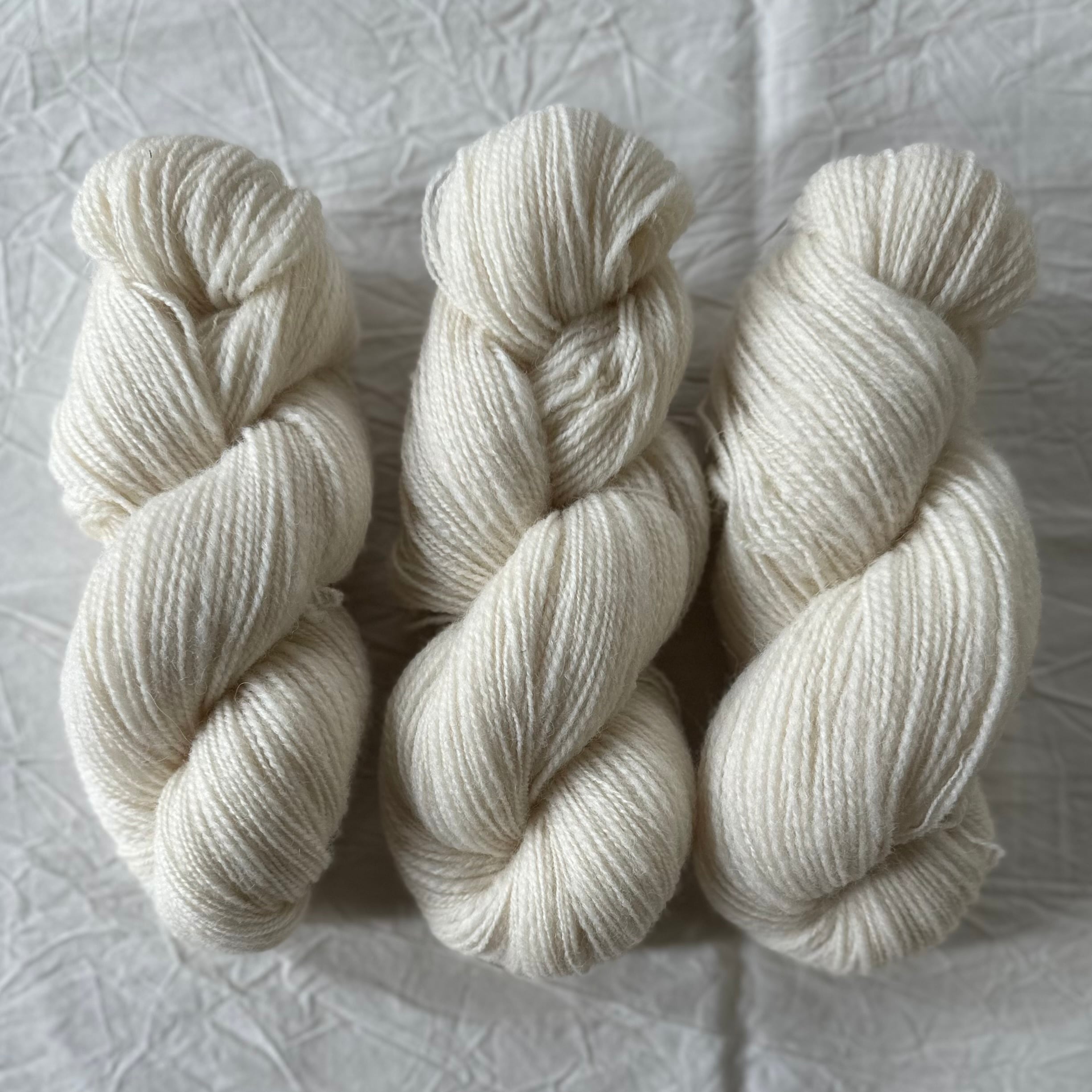 日本産　ウールランド シェットランドウール | 白樺羊