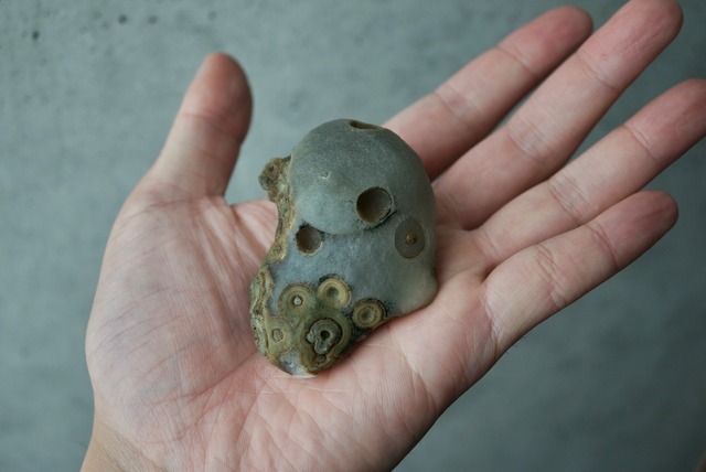 ゴビアゲート Gobi Agate 1683