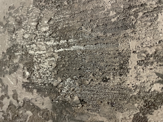 Whispers of Silver — 白銀たちの囁き