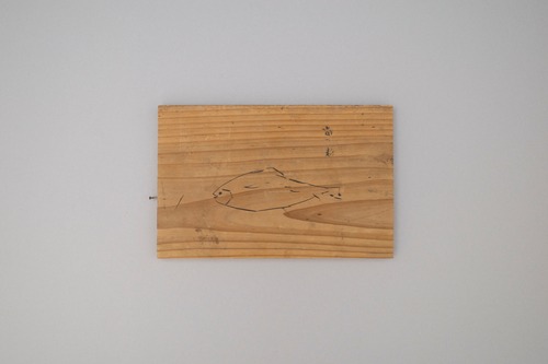 削り粉になった魚