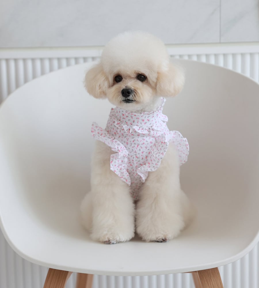 luv flower frill blouses S ~ XL 2color / ドッグウェア 犬服 フリル袖 ブラウス 袖なし 可愛い 犬の服 春夏 新作 花柄 シャツ おしゃれ top160