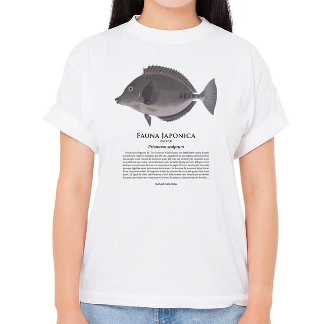 【ニザダイ】シーボルトコレクション魚譜Tシャツ（高解像・昇華プリント）