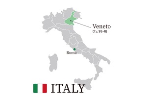 ヴァルポリチェッラ クラッシコ スーペリオーレ リパッソ／Valpolicella Classico DOC Superiore Ripasso（F08）