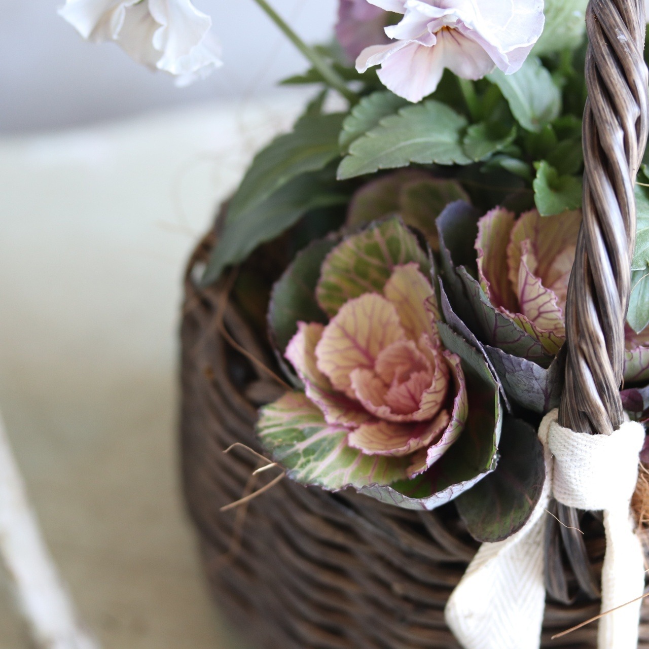 冬から春に楽しむ寄せ植え｜ハボタンあかねバスケット　届いてすぐ玄関に飾れる 　プレゼントにもオススメ　