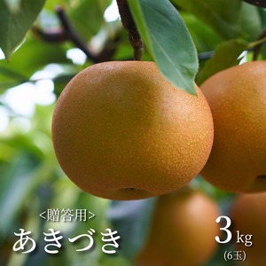 【秋月に包まれる、上品なひととき。】めぐみ農園の「あきづき」贈答用[3kg]秋田県男鹿市産