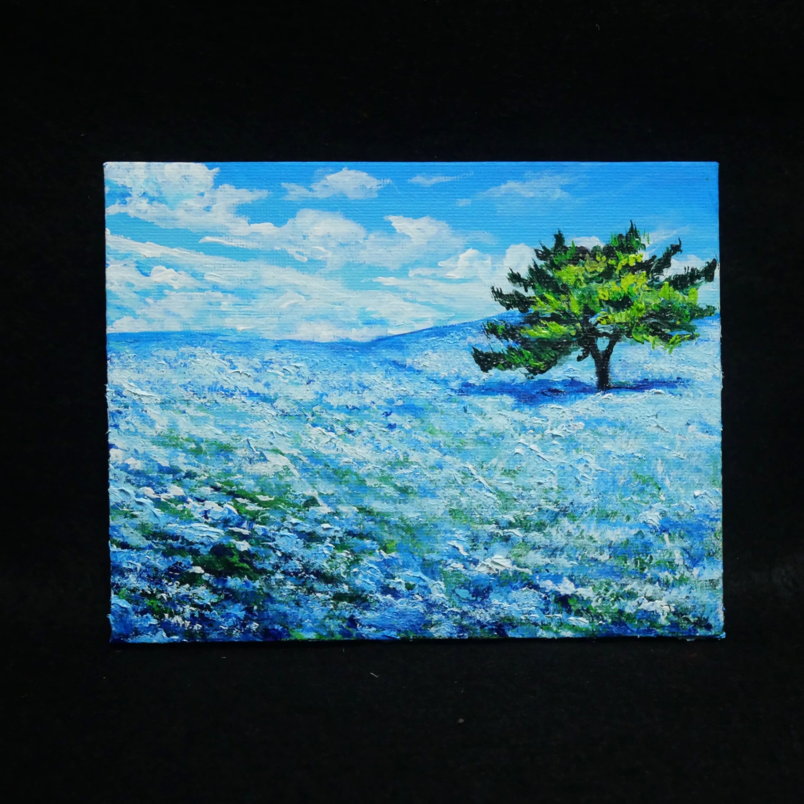 油絵 油彩 油彩画 絵 絵画 F0号【ネモフィラの丘】 油絵 油彩 油彩画 絵 絵画 F0号【ネモフィラの丘】 | HIROSHI1990