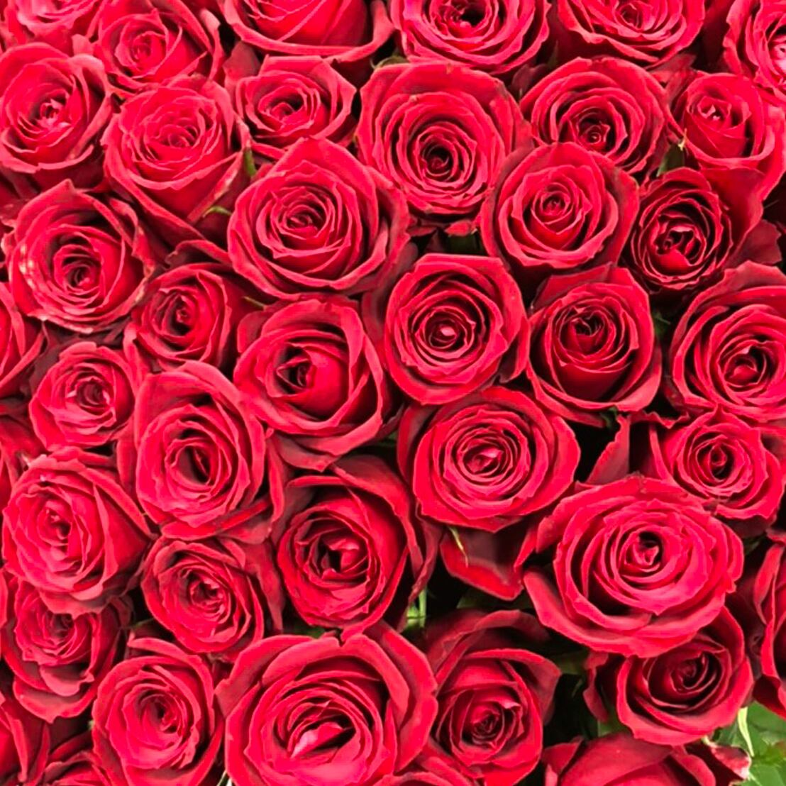 特選ローズ 30本 国産バラ 高品質 フラワーロス支援 スマイルフラワープロジェクト