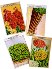 20s フランス 4set 膨満な花々と野菜たち 種子袋用ラベルm アンティーク