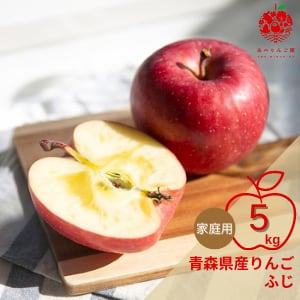青森県産りんご　ふじ　食べきりサイズ！　約5kg(23玉)　家庭用