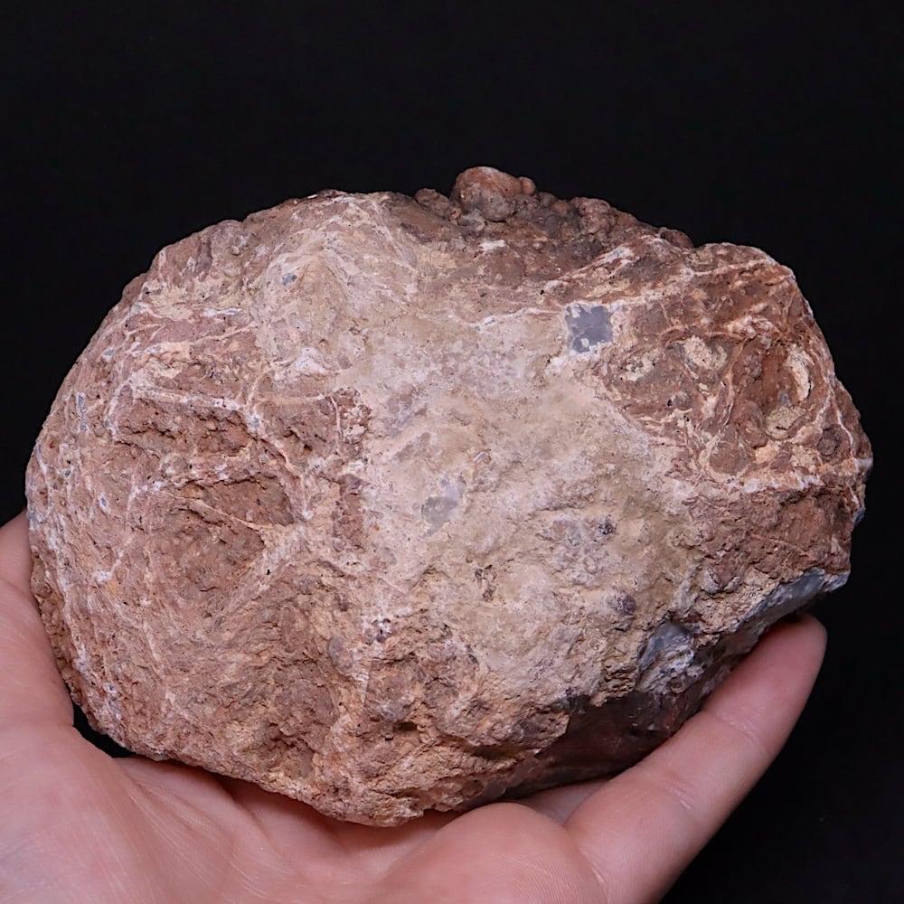 大きい！オレゴン州産 サンダーエッグ 500.6g AG351 瑪瑙 鉱物 天然石