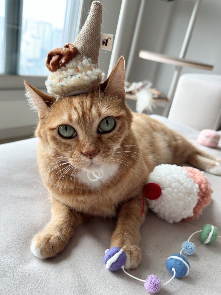 ice cream headpiece from WETNOSE アイスクリーム帽子 猫 | nyanpets