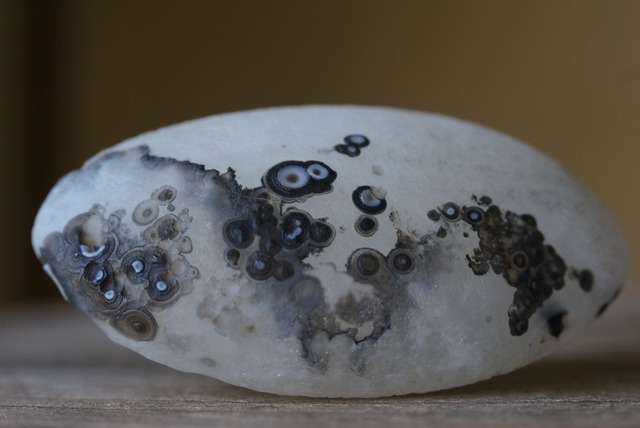 ゴビアゲート Gobi Desert Eye Agate 523