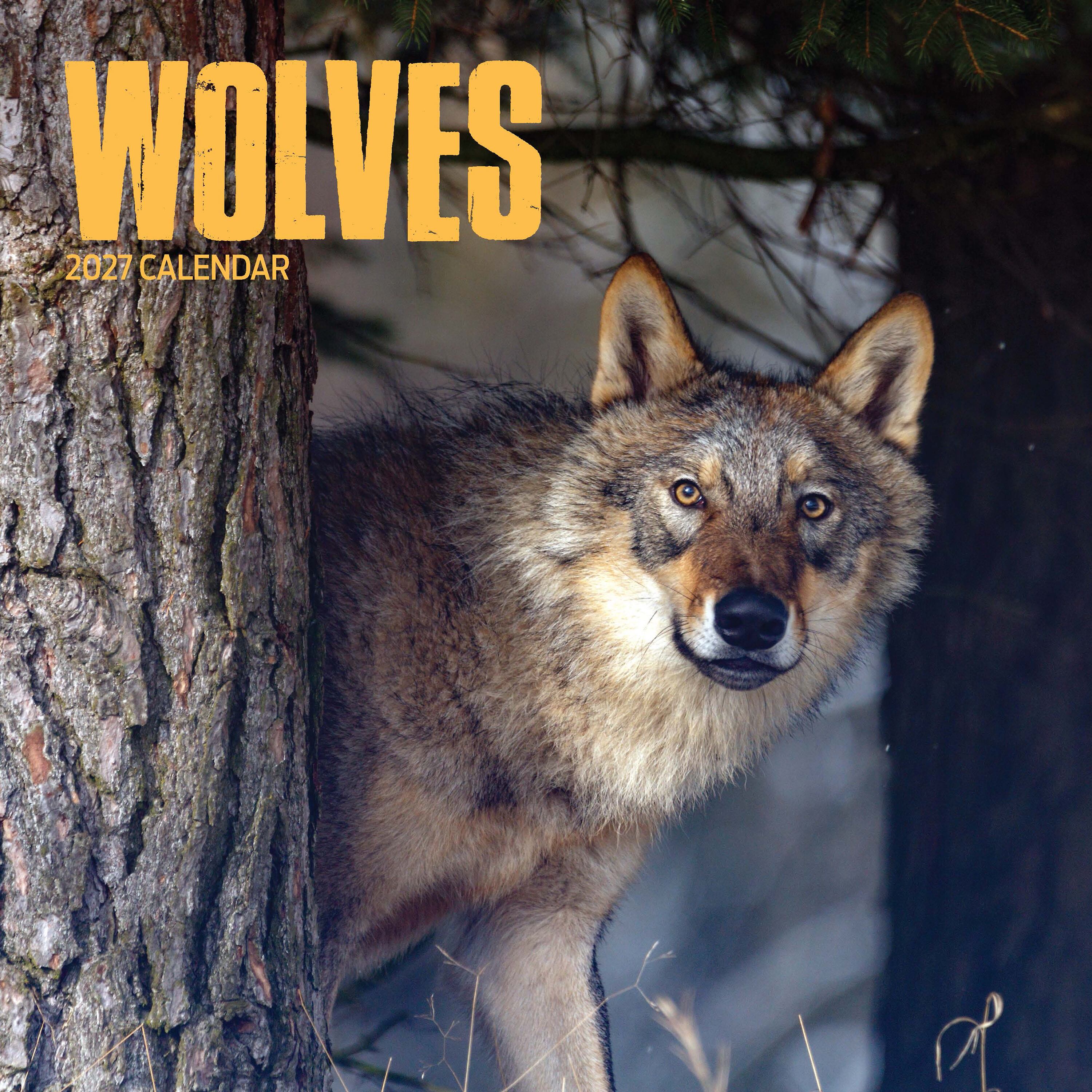 【2027年版】英国製カレンダー【Wolves】 2027年版