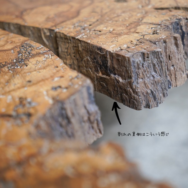 スポルテッド樫の輪切り　センターテーブル