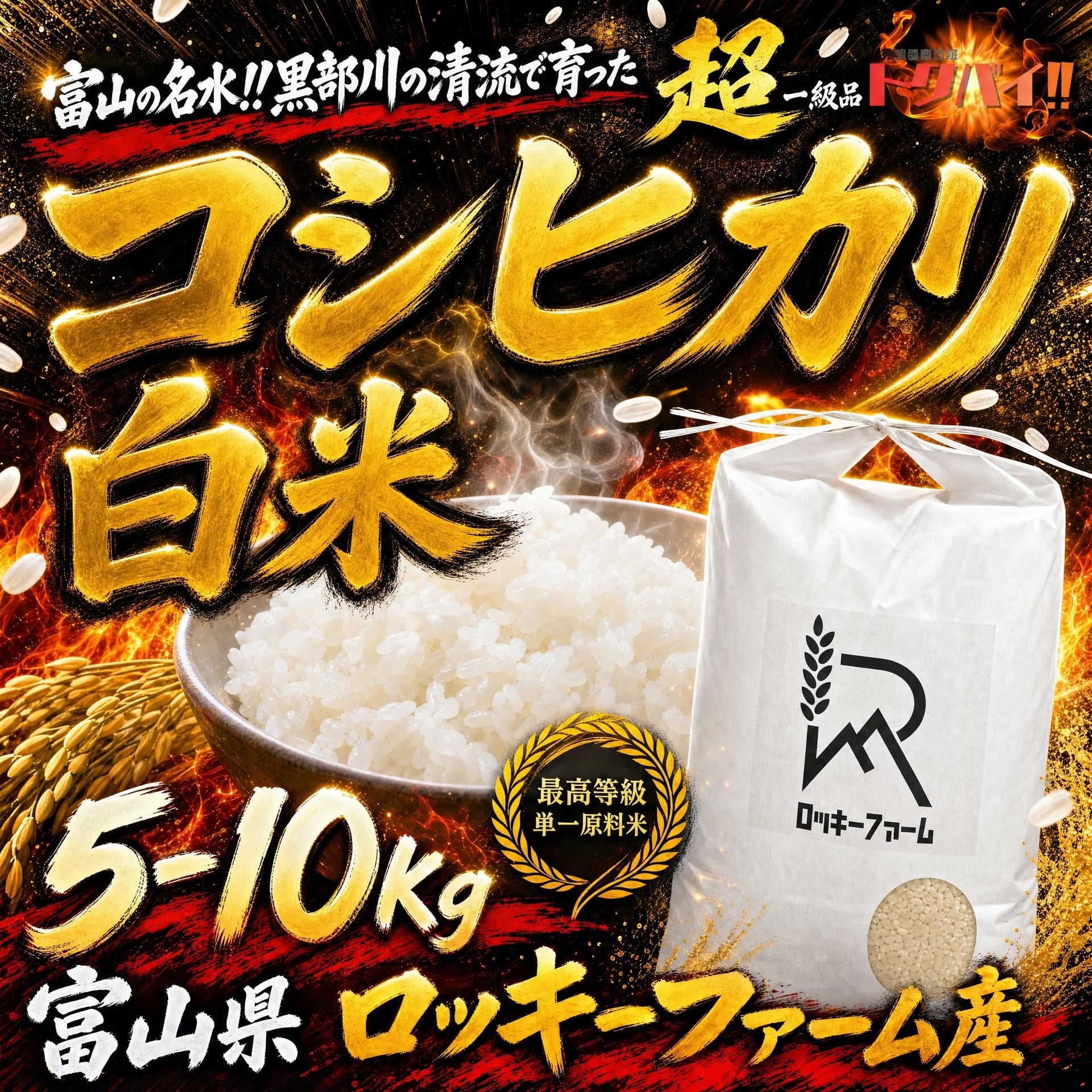 【農家直送】富山県産コシヒカリ 白米 10kg / 令和7年産 / 単一原料米 / 一等米 / 注文後 精米 / ロッキーファーム / 産地直送 / 名水百選︎ 黒部川の清流で育った自慢のお米