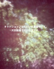 ネットショップについて
