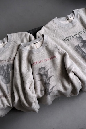 "Raglan Sweat Crew" "Karl Blossfeldt" "GRAY"