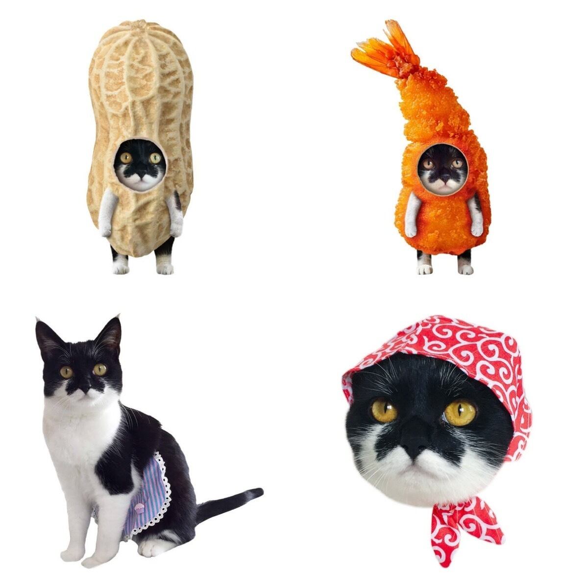 【チャリティ商品】千葉ちゃんダイカットシール4枚セット