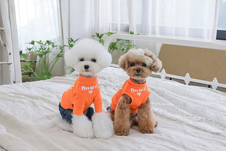 itdogs キャンディバッグ　犬用 犬用 itdogs キャンディバッグ itdogs キャンディーバッグ